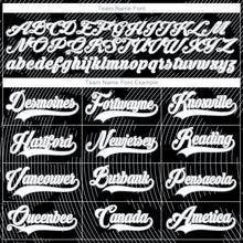 Загрузить изображение в средство просмотра галереи, Custom Black White-Gray 3D Pattern Curve Lines Hockey Lace Neck Jersey