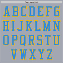 Load image into Gallery viewer, Custom Gray Navy Gold-Powder Blue Varsity Letterman Two Tone Zipper Jacket