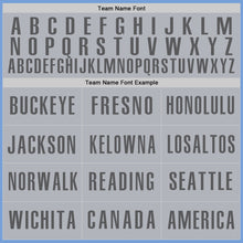 Load image into Gallery viewer, Custom Light Blue Gray-Steel Gray Authentic Baseball Jersey