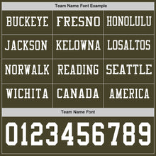 Load image into Gallery viewer, Custom Olive White Long Sleeve Salute To Service Authentic Football Jersey