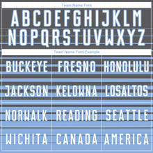 Charger l'image dans la galerie, Custom Steel Gray White-Light Blue Gradient Pinstripe Sublimation Soccer Uniform Jersey