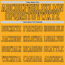 Laden Sie das Bild in den Galerie-Viewer, Custom Gold Gold-Navy Mesh Authentic Football Jersey