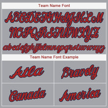 Загрузить изображение в средство просмотра галереи, Custom Gray Red-Navy Baseball Jersey