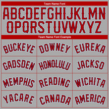 Загрузить изображение в средство просмотра галереи, Custom Gray Red-Navy Authentic Baseball Jersey