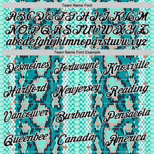 Laden Sie das Bild in den Galerie-Viewer, Custom Stitched Aqua Black-White 3D Pattern Design Snake Skin Print Sportswear Pullover Sweatshirt Hoodie
