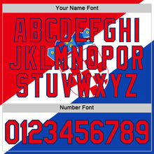 Load image into Gallery viewer, Custom Fire Red US Navy Blue White-Blue Croatia Flag Performance T-Shirt
