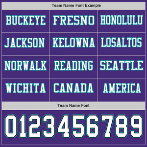 Custom Purple White Black-Teal Long Sleeve Authentic Football Jersey