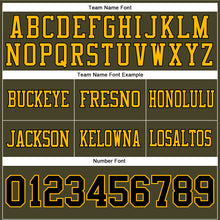 Load image into Gallery viewer, Custom Olive Black-Gold Authentic Salute To Service Football Jersey
