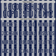 Laden Sie das Bild in den Galerie-Viewer, Custom Navy Gray Stripe Sports Sublimation Soccer Uniform Jersey
