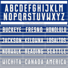 Загрузить изображение в средство просмотра галереи, Custom Royal White-Gray Gradient Pinstripe Sublimation Soccer Uniform Jersey
