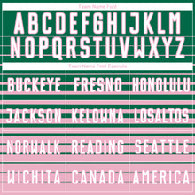 Загрузить изображение в средство просмотра галереи, Custom Kelly Green White-Light Pink Gradient Pinstripe Sublimation Soccer Uniform Jersey
